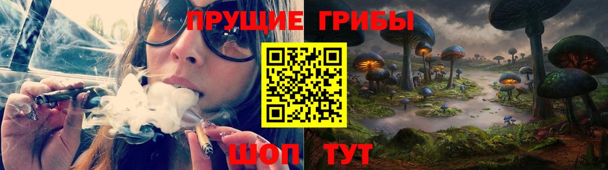 Дятьково  Галлюциногенные грибы Psilocybine cubensis  Вход с VPN 